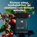 ادو تویلت مردانه اوون الیت جنتلمن - Image 2